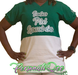 Iota Phi Lambda color block/embroidered T-shirt
