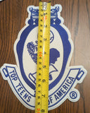 TTA patch-large (8 in.)